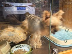 -FAELING PETS美天灵宠物(富力广场店)