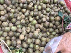 -双龙商场(环城南路店)