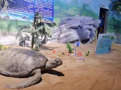 -烟台海昌鲸鲨海洋公园