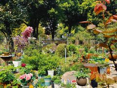 -谷咖啡·鲜花绿植花园餐厅