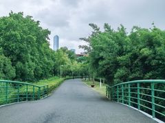 -白塘生态植物园