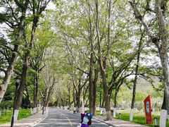 -棒棰岛宾馆景区