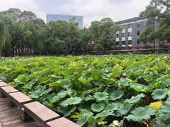 -四川大学(望江校区)
