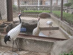 -南昌动物园