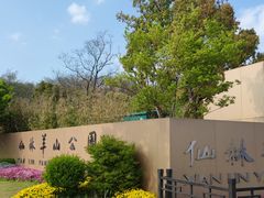 -羊山湖公园
