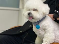 -达爱动物医院·犬猫分区·CT·复杂眼科(远洋山水分院)