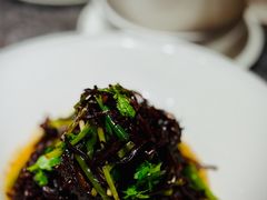 -甄御•海鲜新青岛菜(麦岛店)