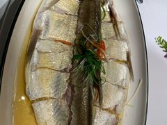 巢湖野生大白丝-同庆楼(金宝汇店)