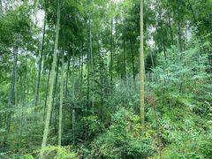 -山沟沟景区