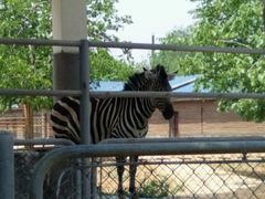 -石家庄市动物园