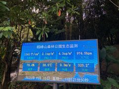 -广州市帽峰山景区