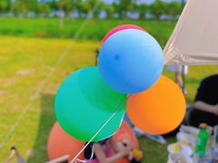 -春花秋色城市公园