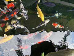 -贵阳高新惠诚食品有限公司
