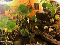 -园林美食城·本土农家菜(杨和镇店)