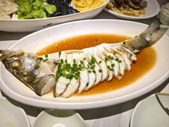 -船歌·鱼水饺青岛菜(石老人店)