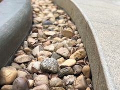 -常州古运河南大街文化旅游区-人民公园