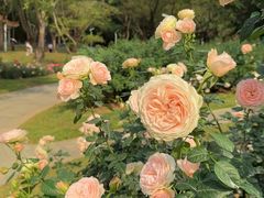 -人民公园(罗湖区)