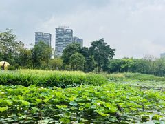 -顺峰山公园