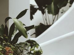 -Seesaw Coffee(上生新所店)
