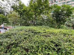 -兰溪青年公园