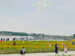 -海珠湖公园