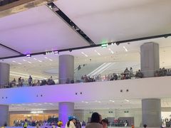 -TheRink大零溜冰场(IFS国金中心店)