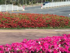 -东莞银行篮球中心