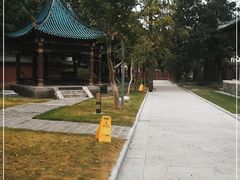 -荆州博物馆