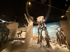 -国家自然博物馆