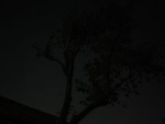 -簋街