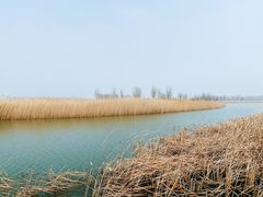 -野鸭湖国家湿地公园