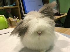 -雨林宠物医院 非犬猫异宠专科
