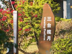 -芒洲湿地公园