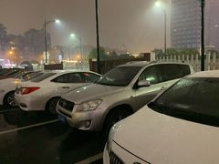 -地铁临平站P+R停车场(新城路)