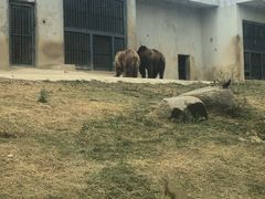 -上方山森林动物世界