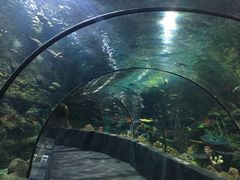 -南昌海洋公园