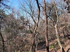 -虞山风景区
