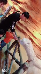 -酷嗒动物文化乐园(cutezoo西溪乐天城店)