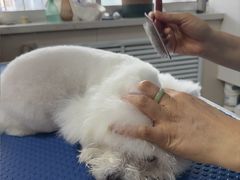 -宠颐生宠物医院·综合诊疗(先锋分院)