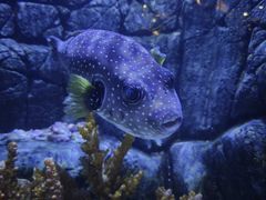 -成都浩海立方海洋公园