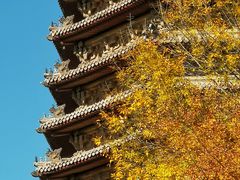 -玲珑塔公园