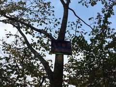 -望湘园·洞庭渔宴(永旺店)