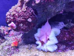 -成都浩海立方海洋公园