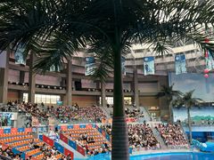 -海合安成都极地海洋公园