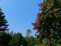 -回龙观体育文化公园