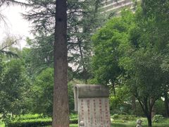 -木塔寺遗址生态公园