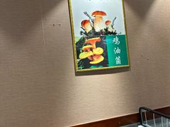 -菌之家·专业纯野生菌火锅·特色炒菌