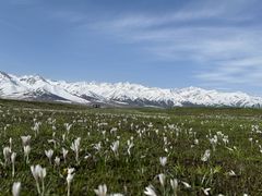 -新疆那拉提国家旅游度假区
