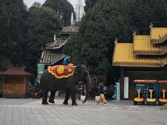 -云南民族村