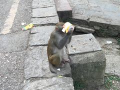 -黔灵山公园-南门售票处